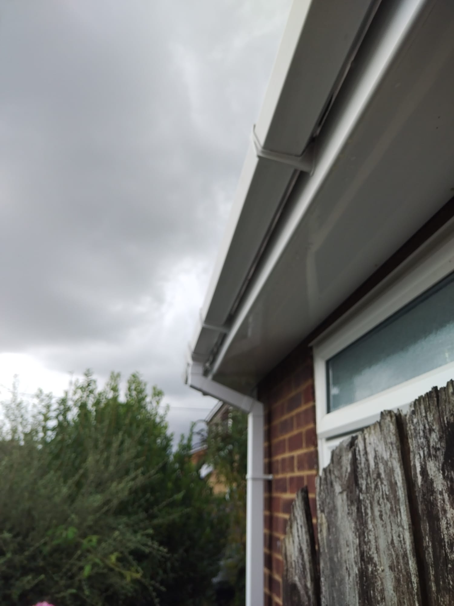 Soffit and Fascia Cleaning (2)