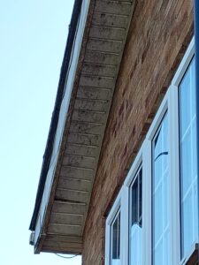 What Are the Costs of Soffit and Fascia Cleaning in Shoeburyness?