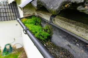 What Are the Signs That Your Gutters Need Cleaning in Southend-on-Sea and Across the UK