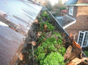 Gutter Cleaning Contractors in Canvey Island