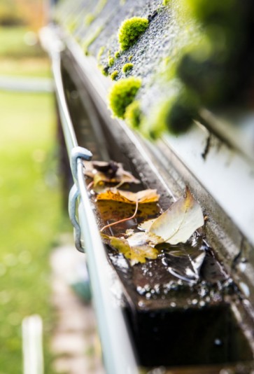 gutter Cleaning