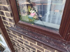 How Does Sea Air Affect Your Windows and Glass