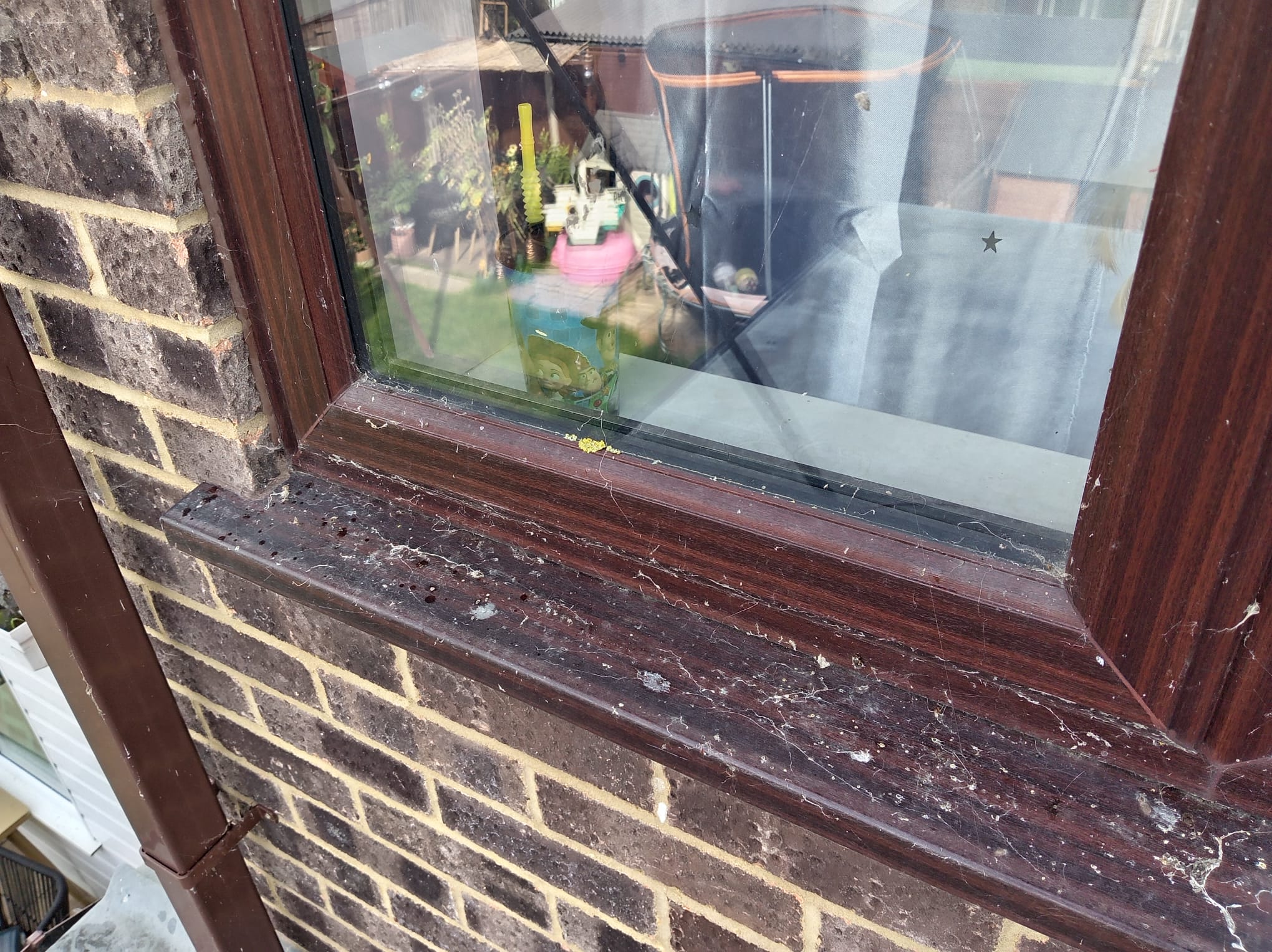 How Does Sea Air Affect Your Windows and Glass